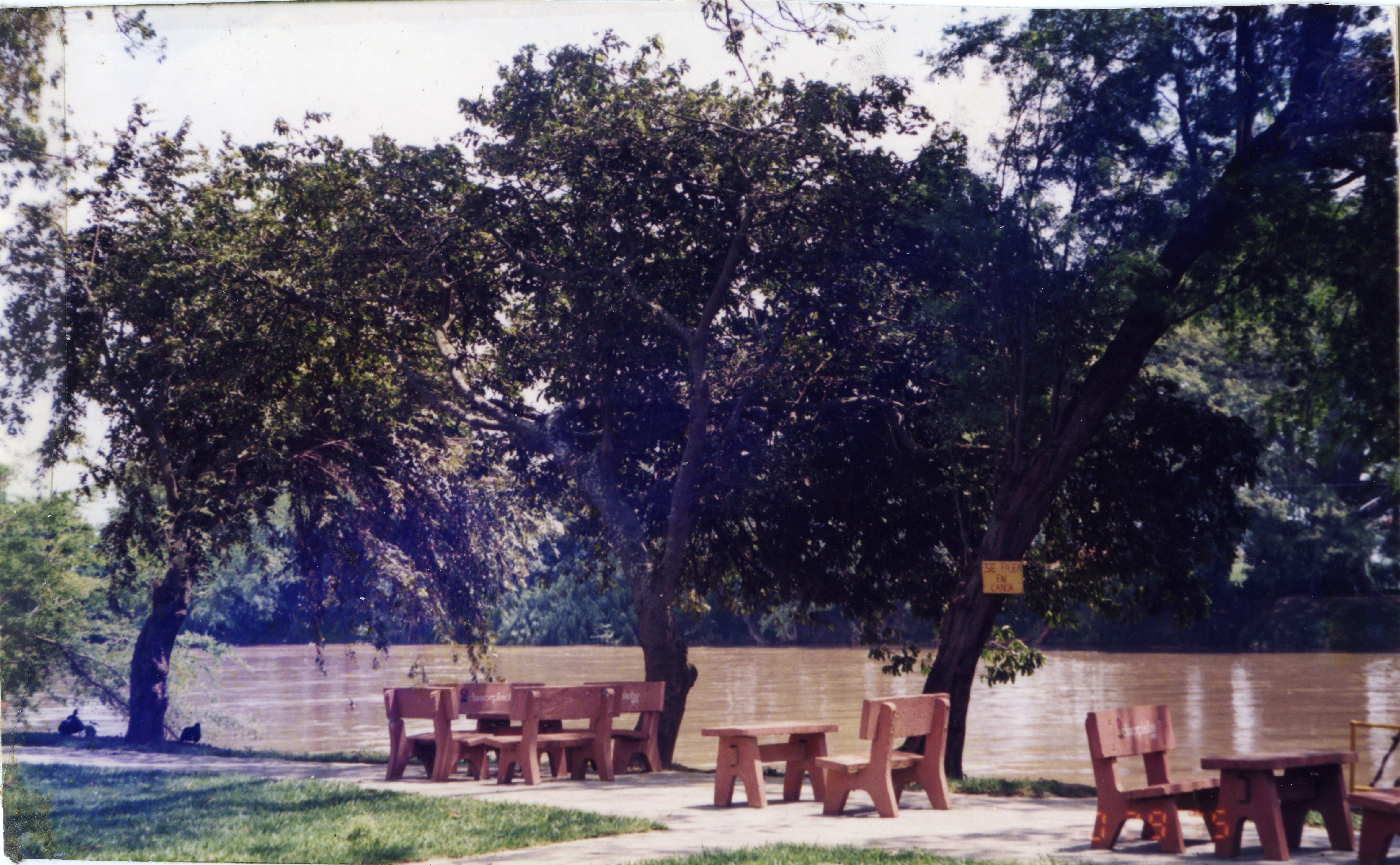 Fdo016290.jpg