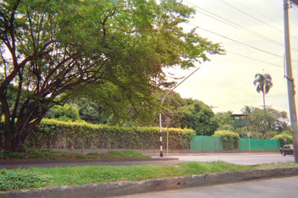 179-0.jpg