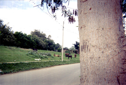 471-31.jpg
