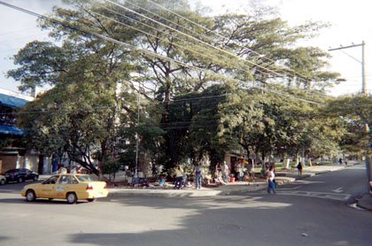 417-29.jpg