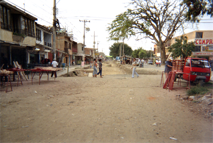 277-13.jpg