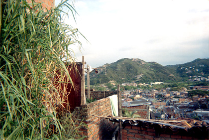 458-11.jpg