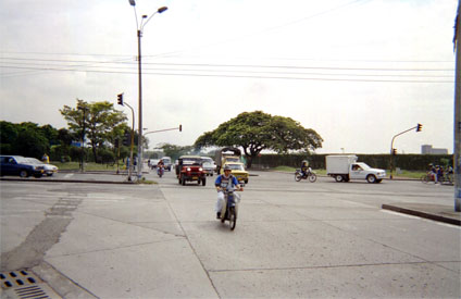 172-24.jpg