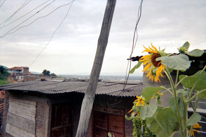 400-26.jpg