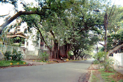 429-29.jpg