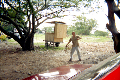 293-21.jpg