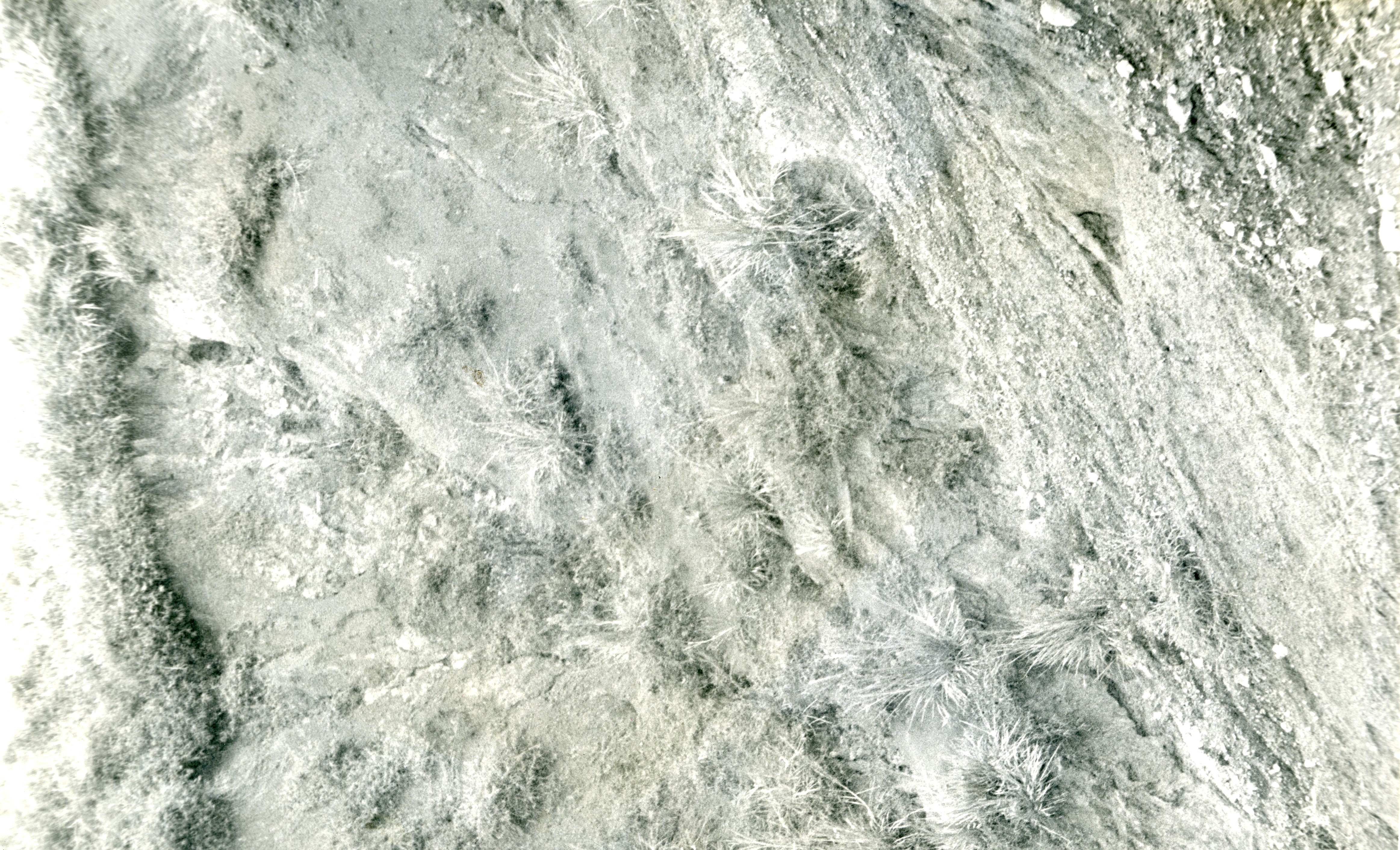 FDO015120.jpg