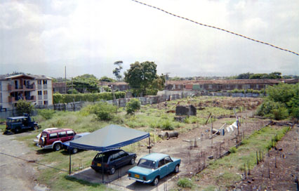 160-19.jpg