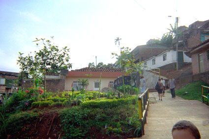 454-20.jpg