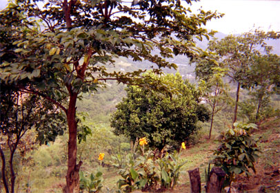 043-17.jpg