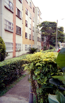 369-15.jpg