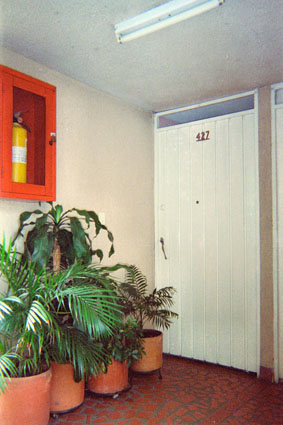 363-2.jpg