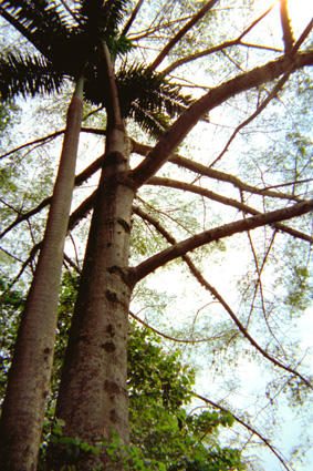 054-8.jpg