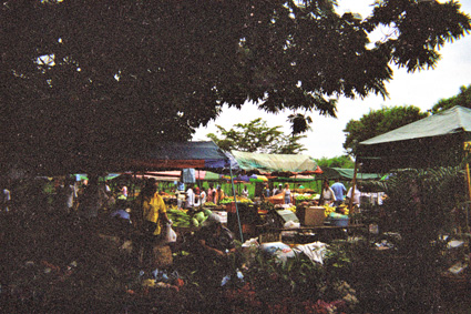 031-16.jpg