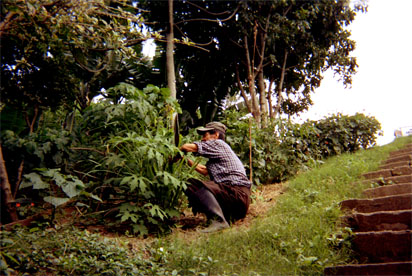 014-10.jpg