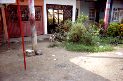 256-3.jpg