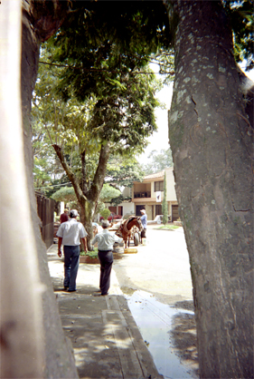 444-26.jpg