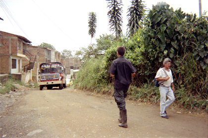 395-7.jpg