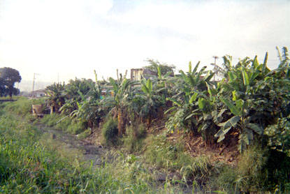 311-5.jpg