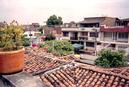 169-15.jpg