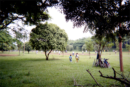 375-24.jpg