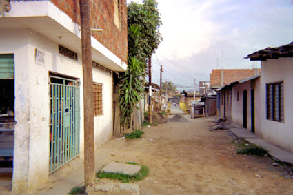 305-10.jpg