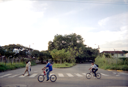 354-17.jpg