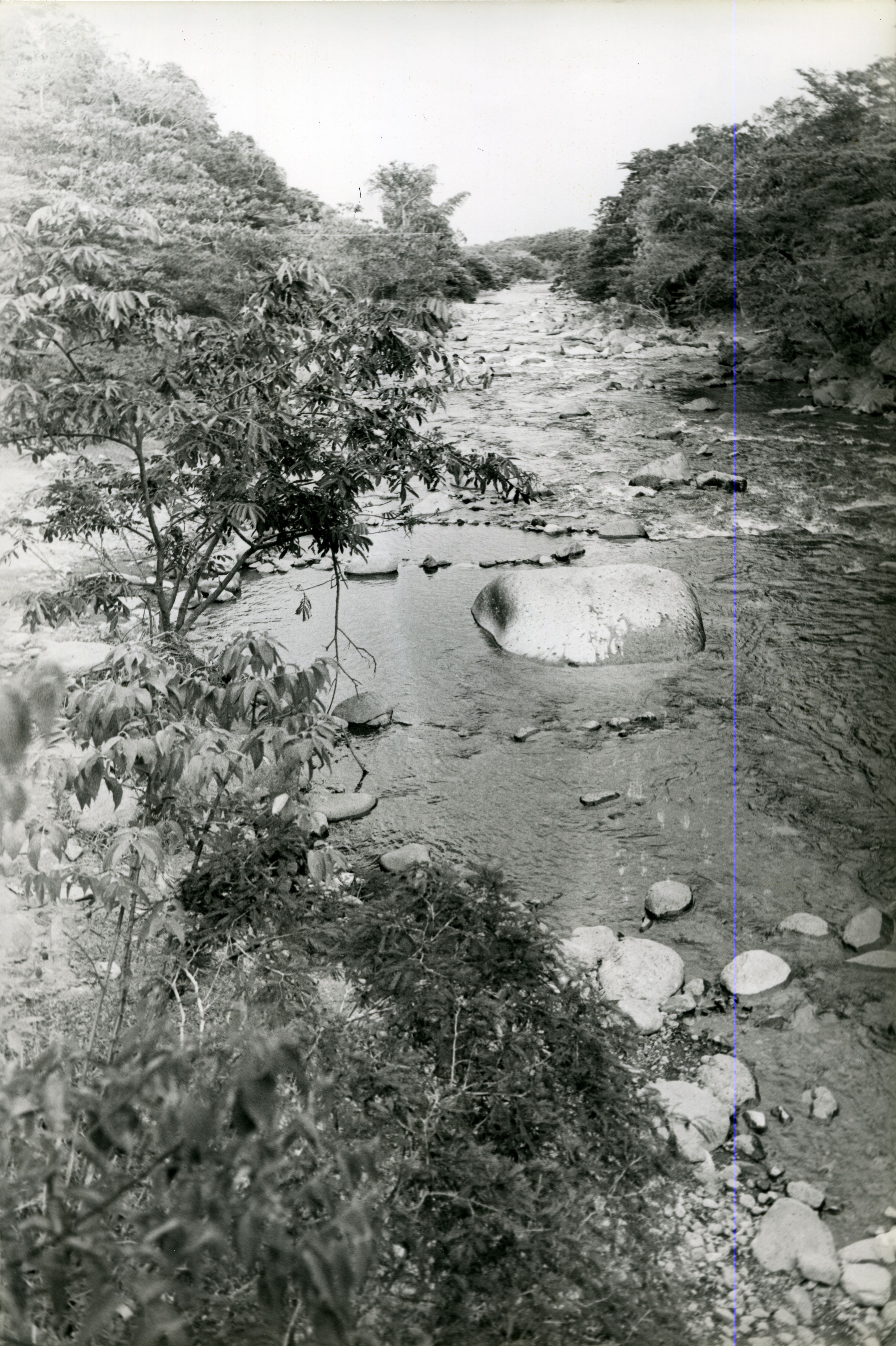 FDO021966.jpg