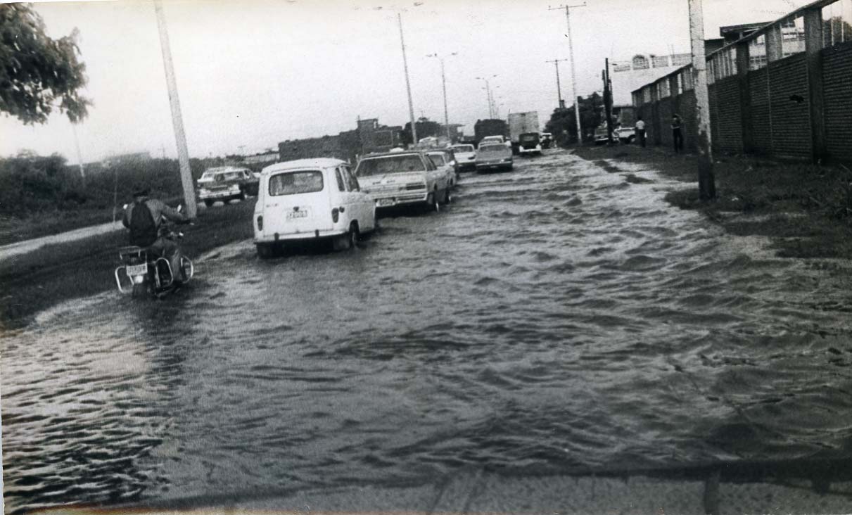 Fdo 0010487.jpg