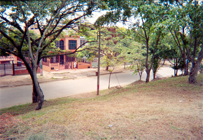 144-16.jpg