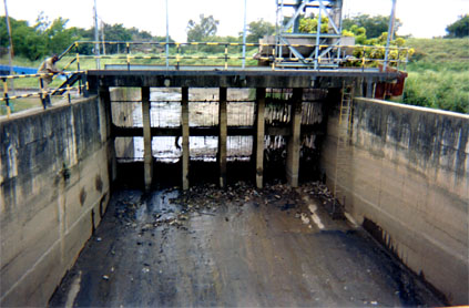 141-22.jpg