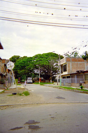 314-20.jpg