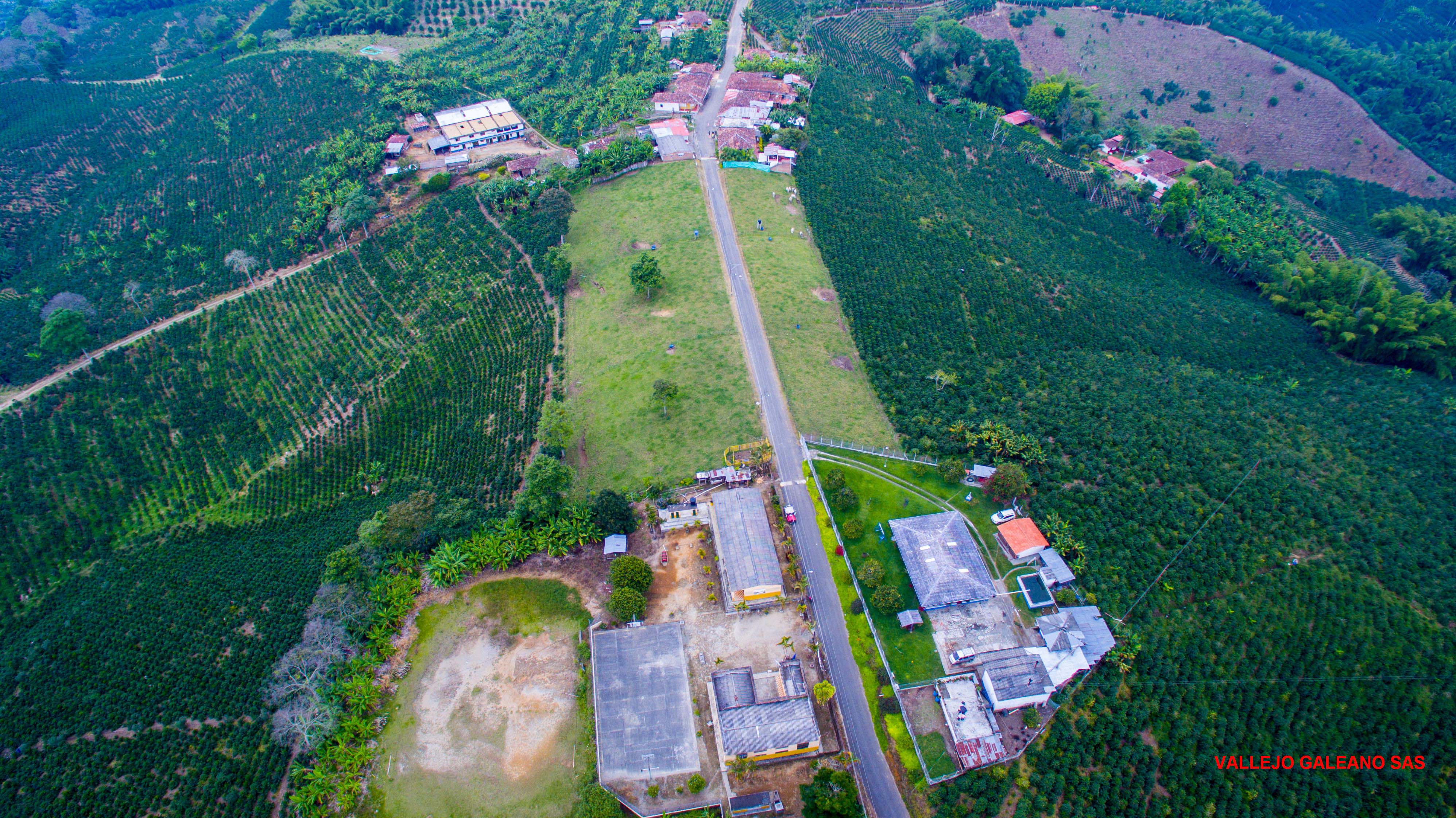 PCCC1188_Vereda Palomino 2.jpg