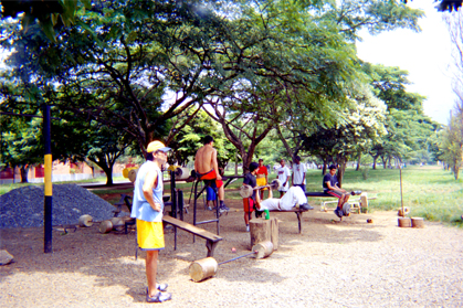 224-11.jpg
