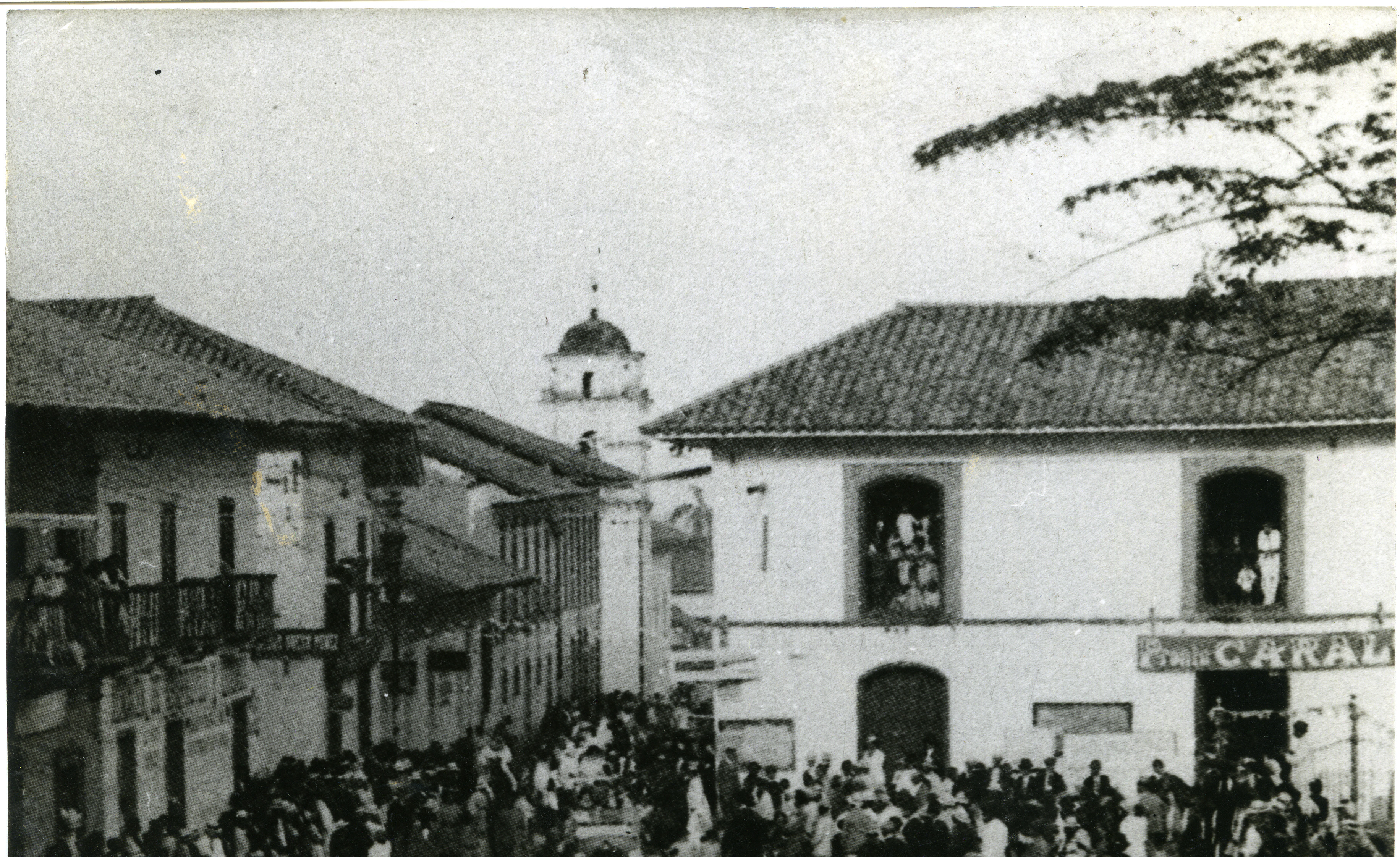 Fdo 012290.jpg