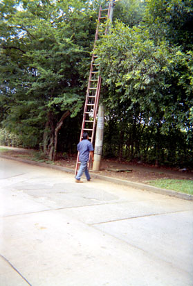 359-14.jpg
