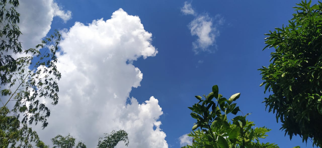 RFV000703.jpg