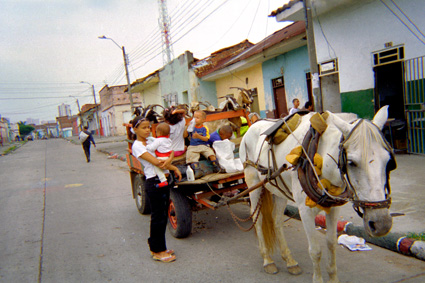 194-8.jpg
