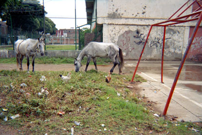 271-13.jpg