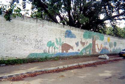 384-21.jpg