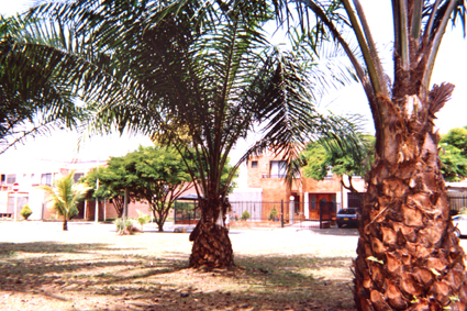 491-13.jpg