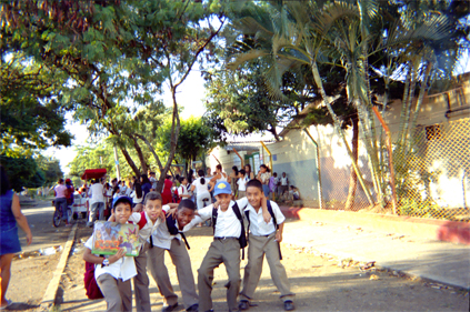 229-7.jpg