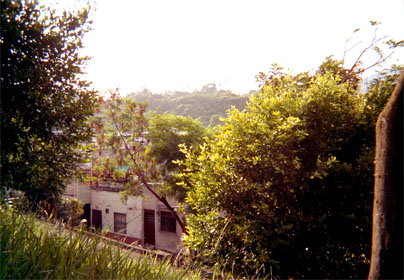055-12.jpg
