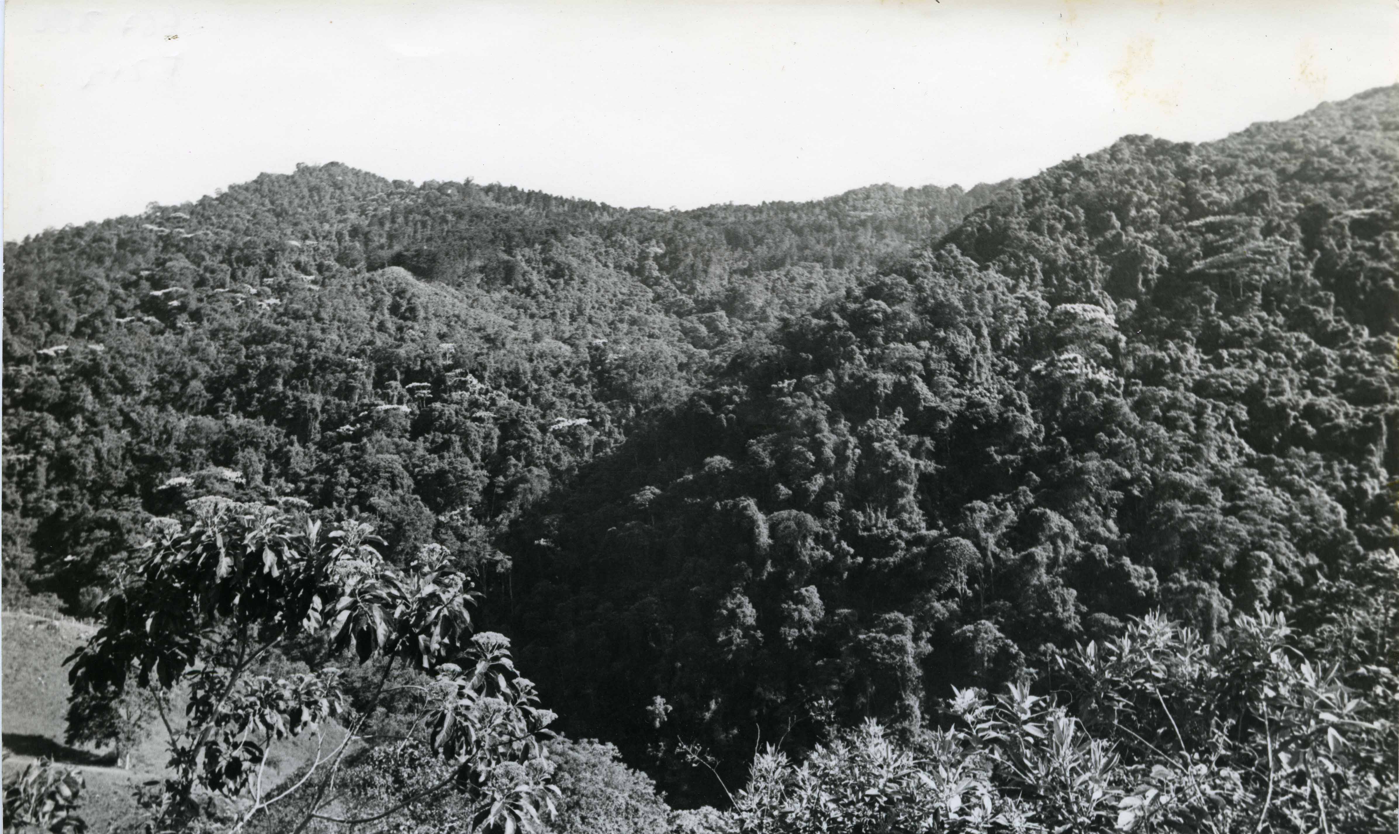 FDO08296.jpg