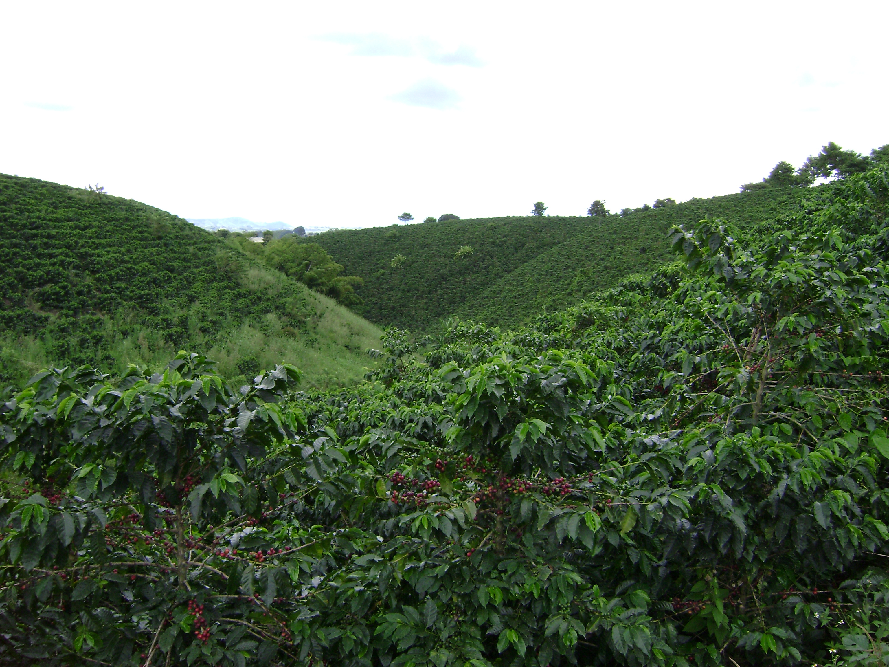 PCCC0838.jpg