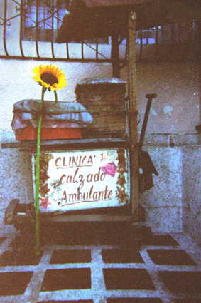 031-23.jpg