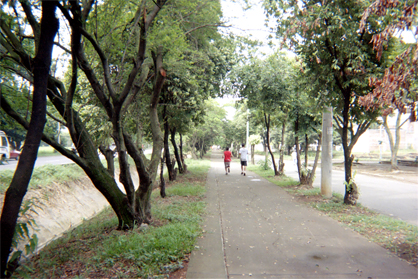 375-25.jpg
