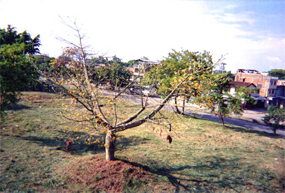 098-22.jpg