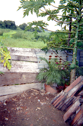 293-15.jpg
