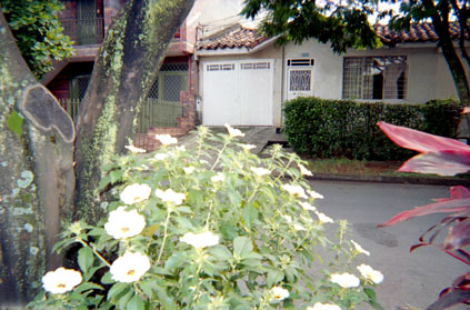 437-32.jpg